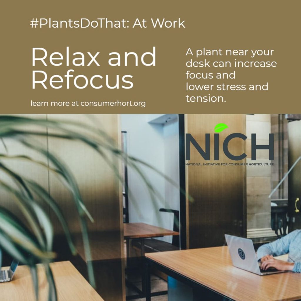 A plant near your desk can help you relax and refocus. #PlantsDoThat At Work. Learn more at ConsumerHort.org