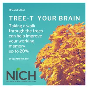 #PlantsDoThat - Treat Your Brain - Taking a walk through the trees can help improve your working memory up to 20%