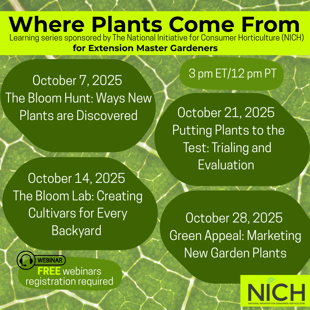 nichwebinars-7